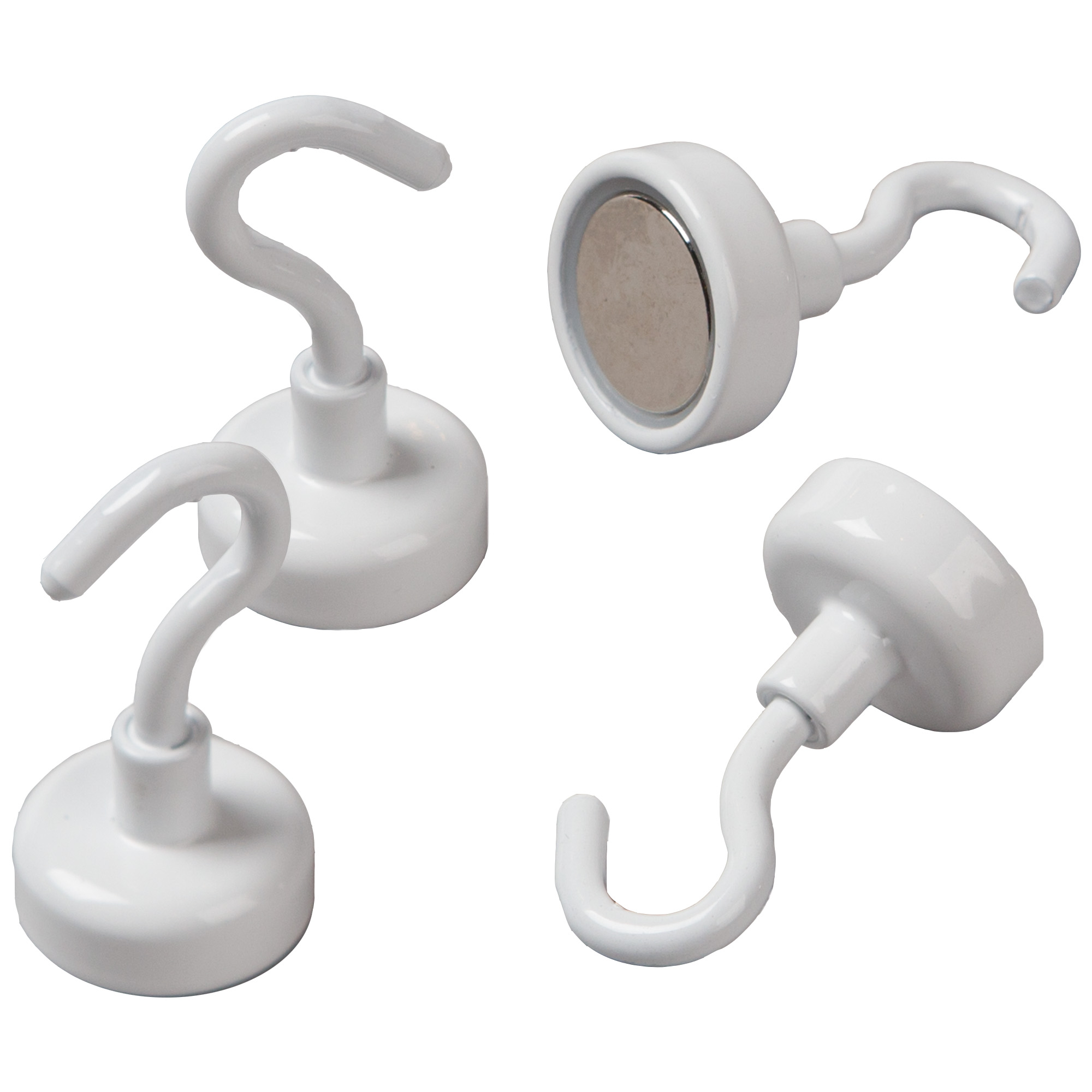 Rainforest Fall Magnetic Hooks