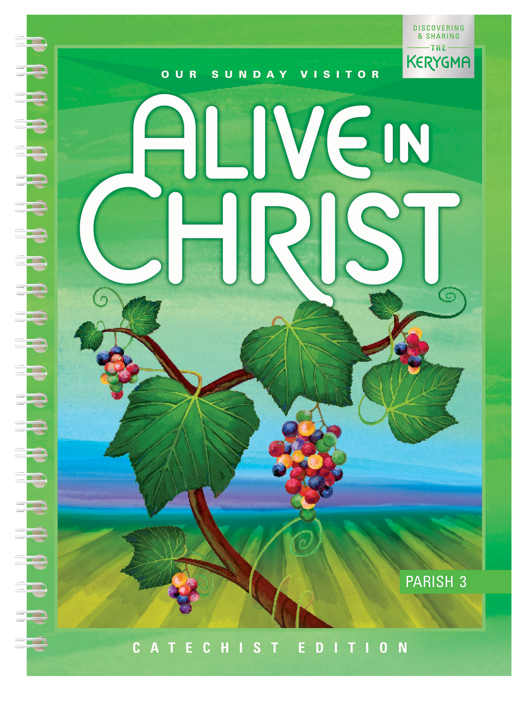 Alive In Christ Updated Grade 3 Catechist Edition