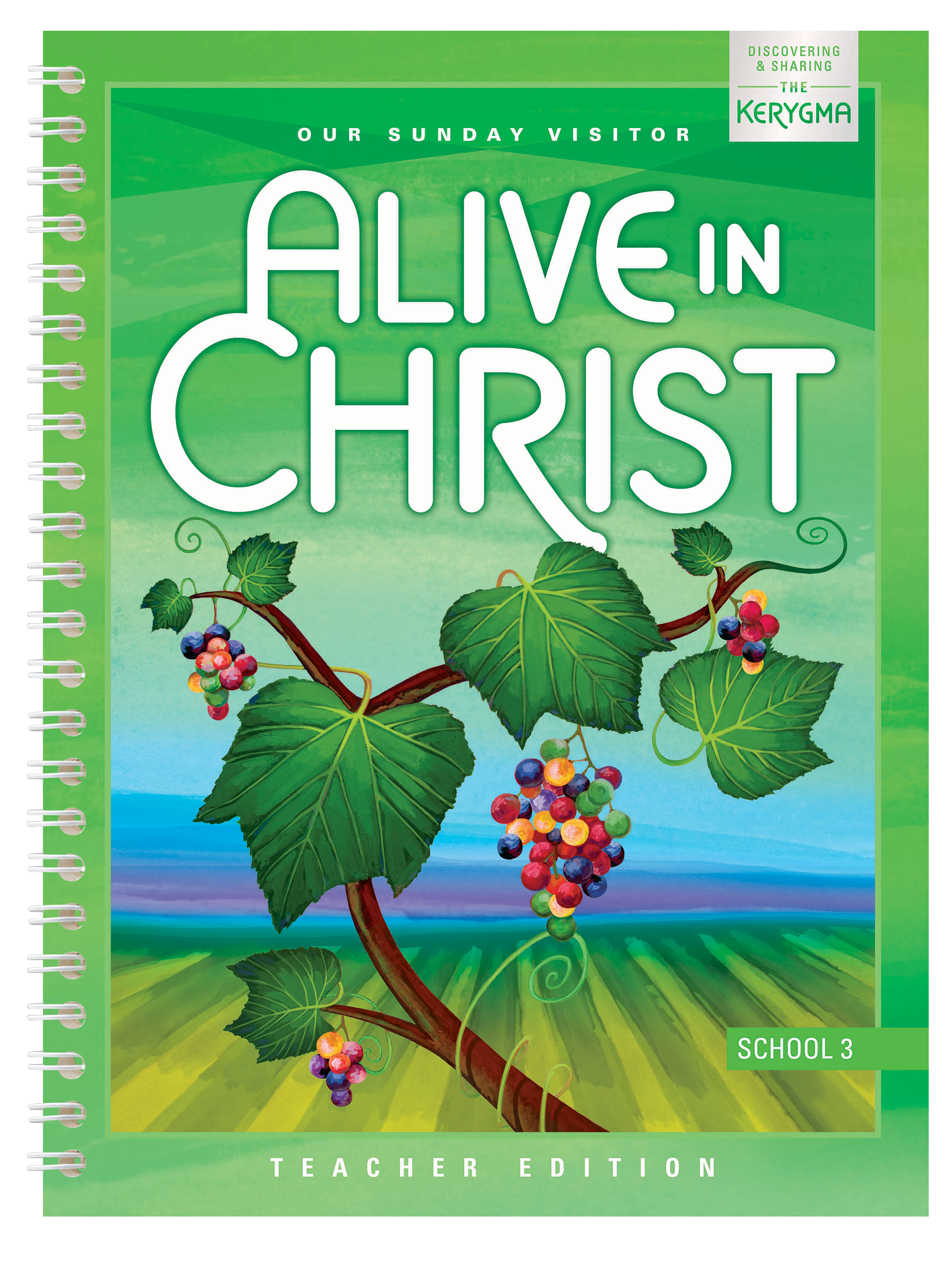 Alive In Christ Updated Grade 3 Teacher Edition