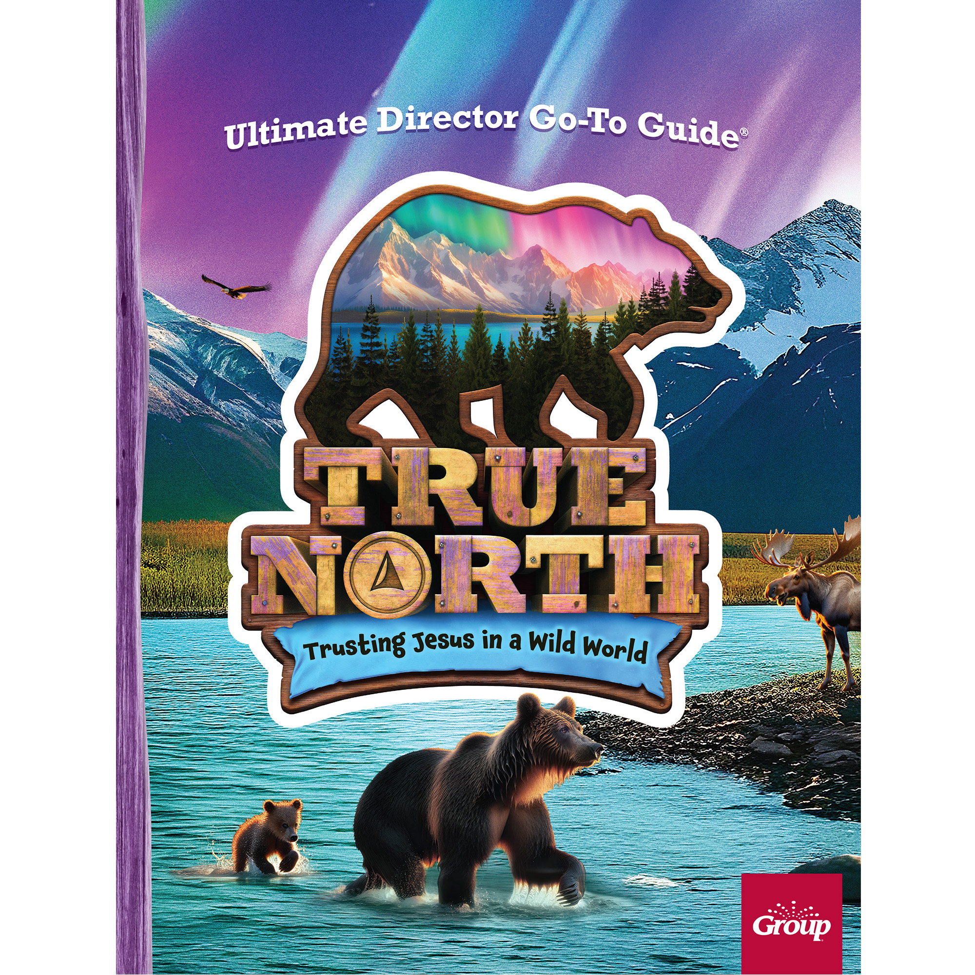 True North