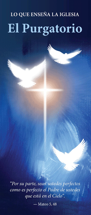 What the Church Teaches