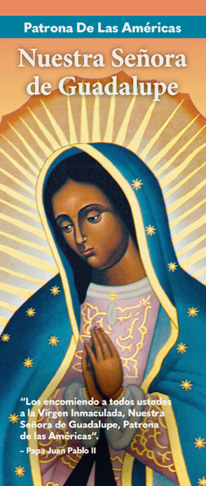 Nuestra Señora de Guadalupe