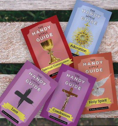 The Handy Little Guide Book Package