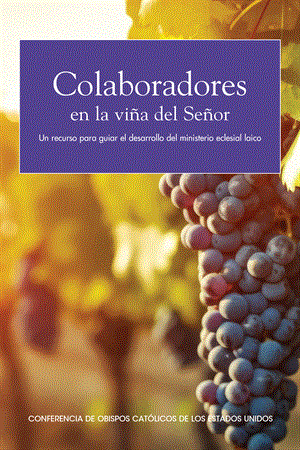 Colaboradores en la viña del Señor