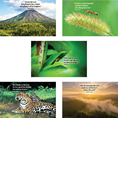 Rainforest Falls: Bible Verse Posters