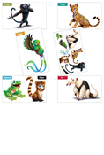 Rainforest Falls: Giant Bible Memory Buddy Poster Pack