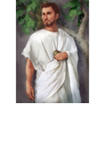POF Card-Saint Augustine