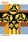 Alive in Christ YA: Trinity Faith Guidebook