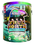 True North: Trusting Jesus in a Wild World Regular Starter Kit