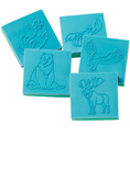 True North: Trusting Jesus in a Wild World Bible Memory Buddy Stampers