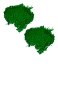 True North: Trusting Jesus in a Wild World Tissue Paper Grass Mat